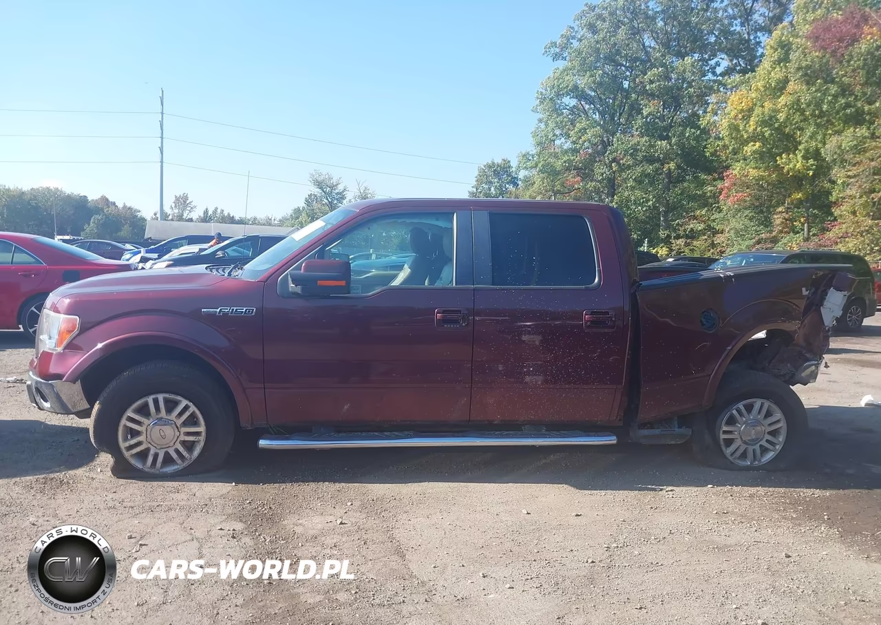 2010 Ford F-150 Fx4-Harley-Davidson-King Ranch-Lariat-Platinum-Xl-Xlt VIN:1FTFW1EV4AFC60757 - 14