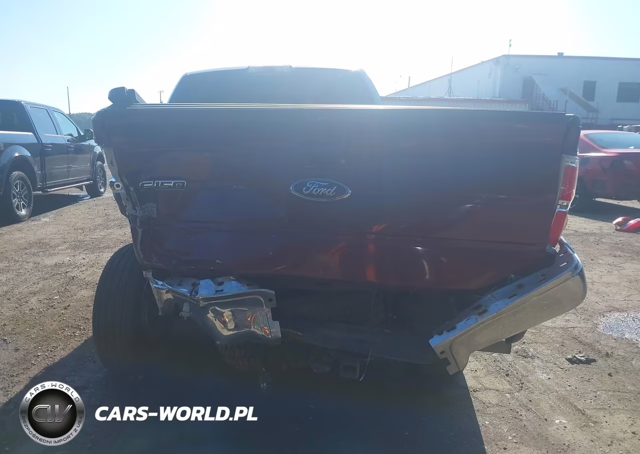 2010 Ford F-150 Fx4-Harley-Davidson-King Ranch-Lariat-Platinum-Xl-Xlt VIN:1FTFW1EV4AFC60757 - 16