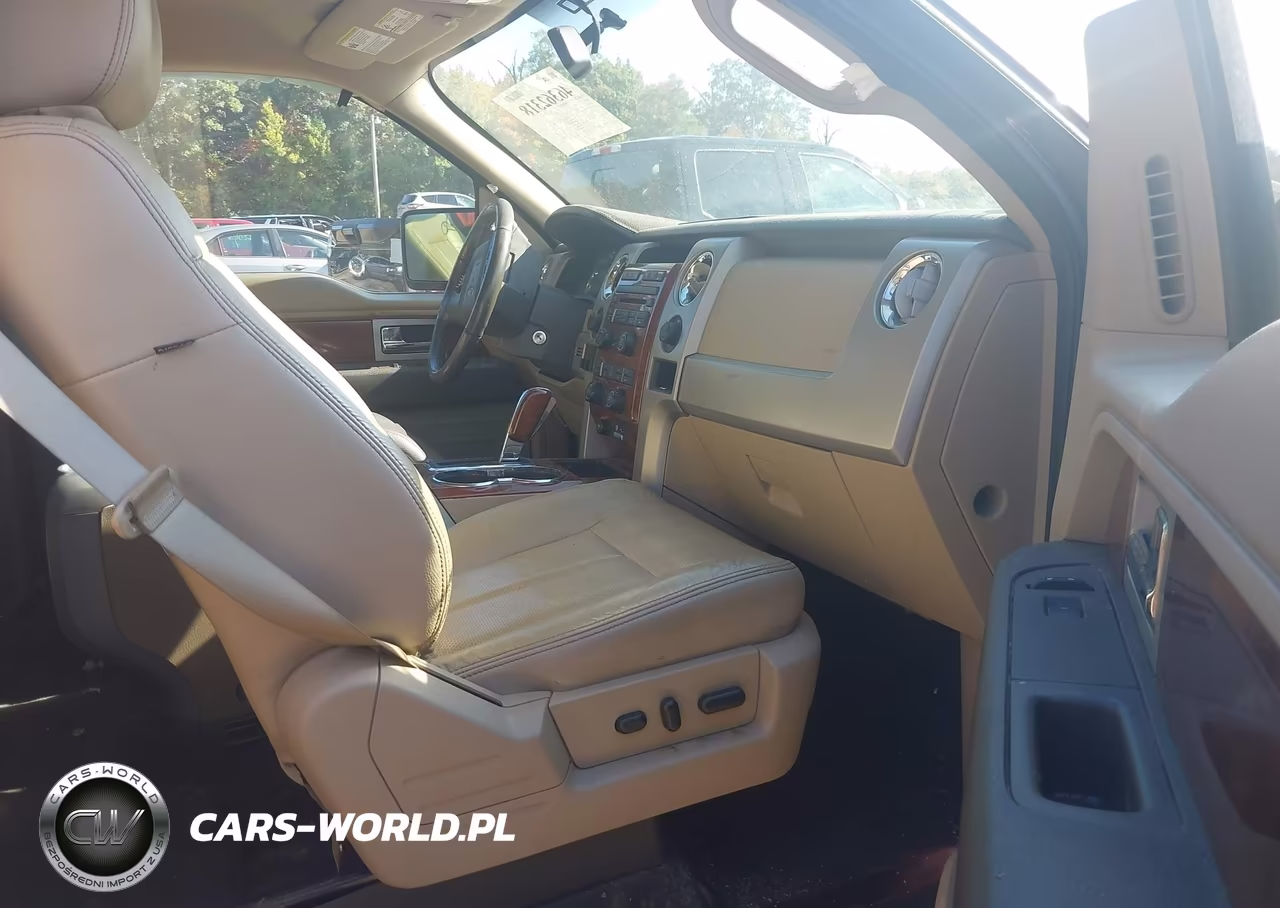 2010 Ford F-150 Fx4-Harley-Davidson-King Ranch-Lariat-Platinum-Xl-Xlt VIN:1FTFW1EV4AFC60757 - 5