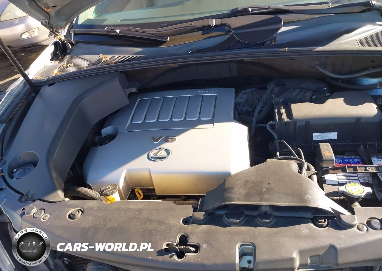 2007 Lexus Rx 350 VIN:2T2HK31U67C022211 - 10
