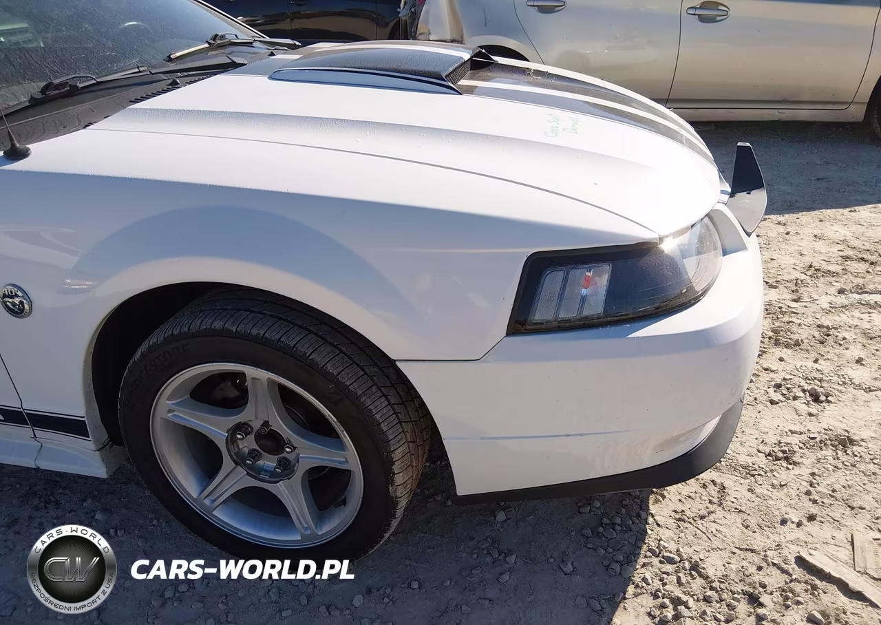 2004 Ford Mustang Gt VIN:1FAFP42X64F170170 - 14