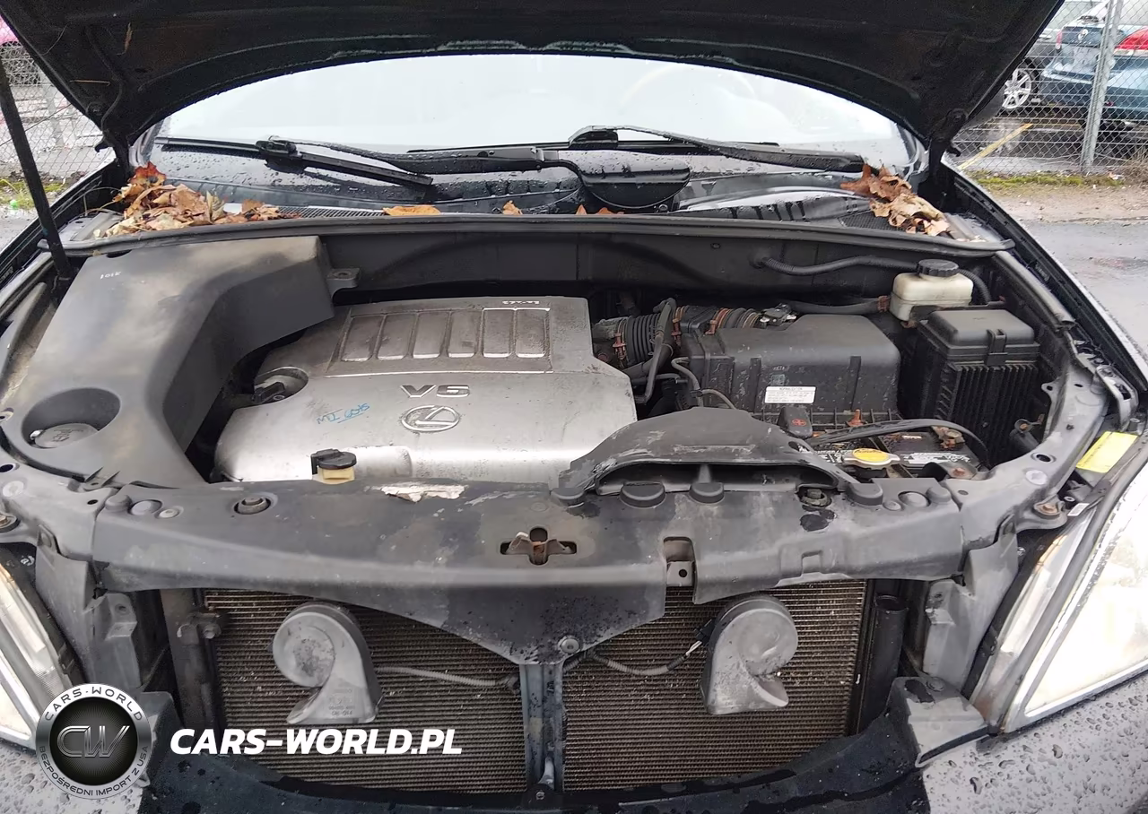 2009 Lexus Rx 350 VIN:2T2HK31U69C135319 - 10