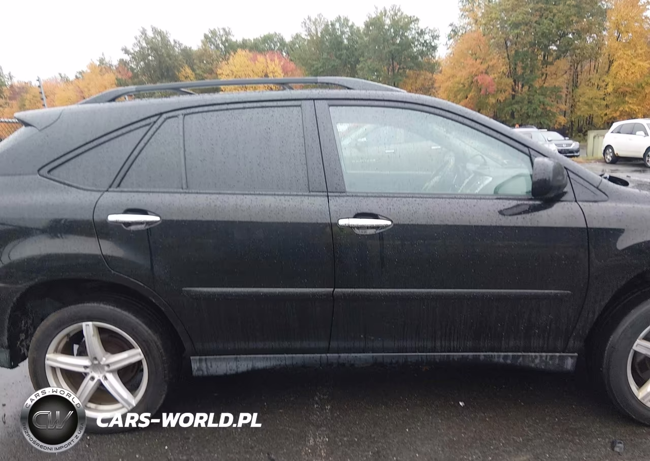 2009 Lexus Rx 350 VIN:2T2HK31U69C135319 - 13
