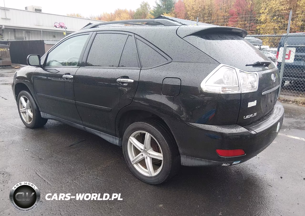 2009 Lexus Rx 350 VIN:2T2HK31U69C135319 - 3