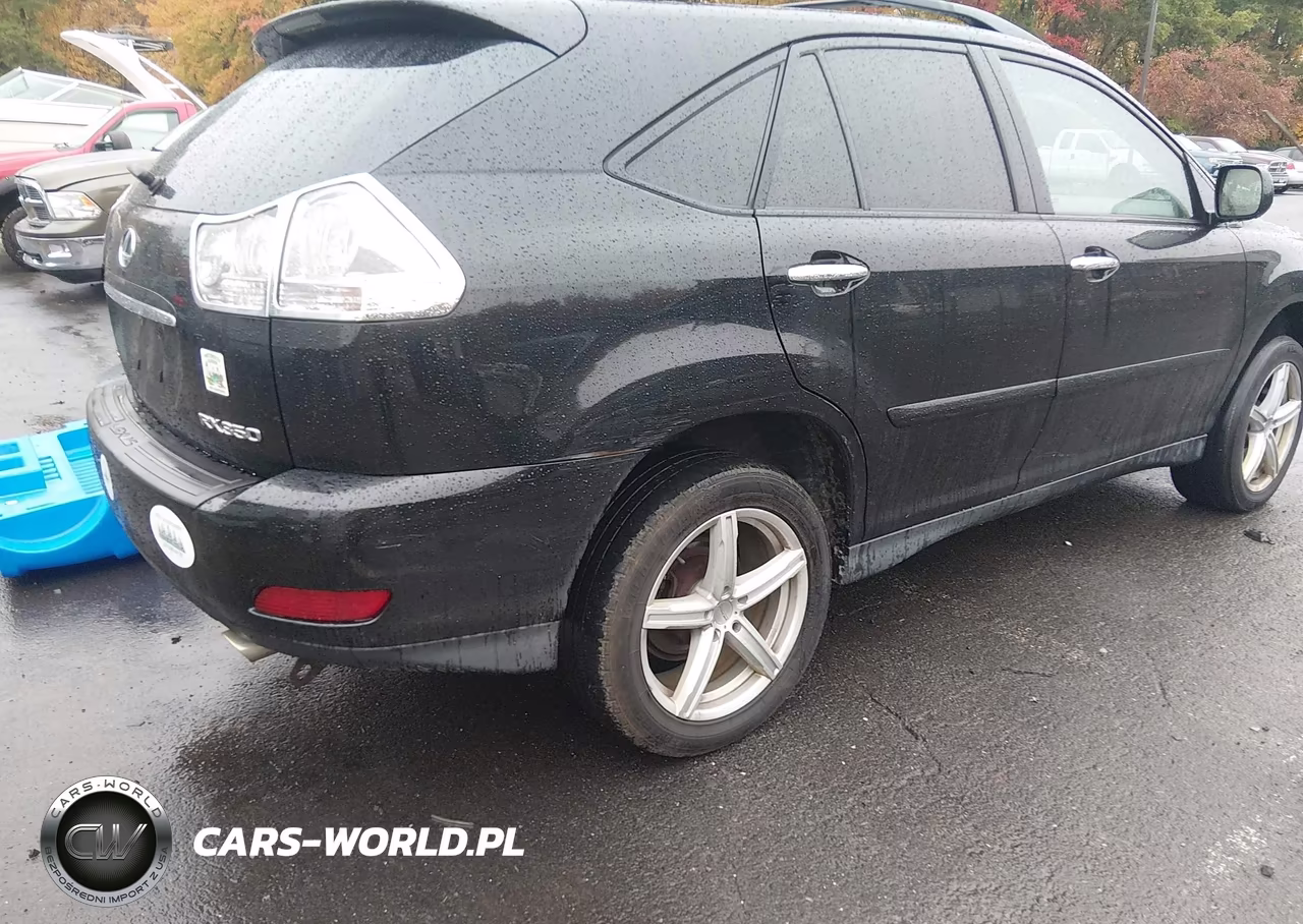 2009 Lexus Rx 350 VIN:2T2HK31U69C135319 - 4