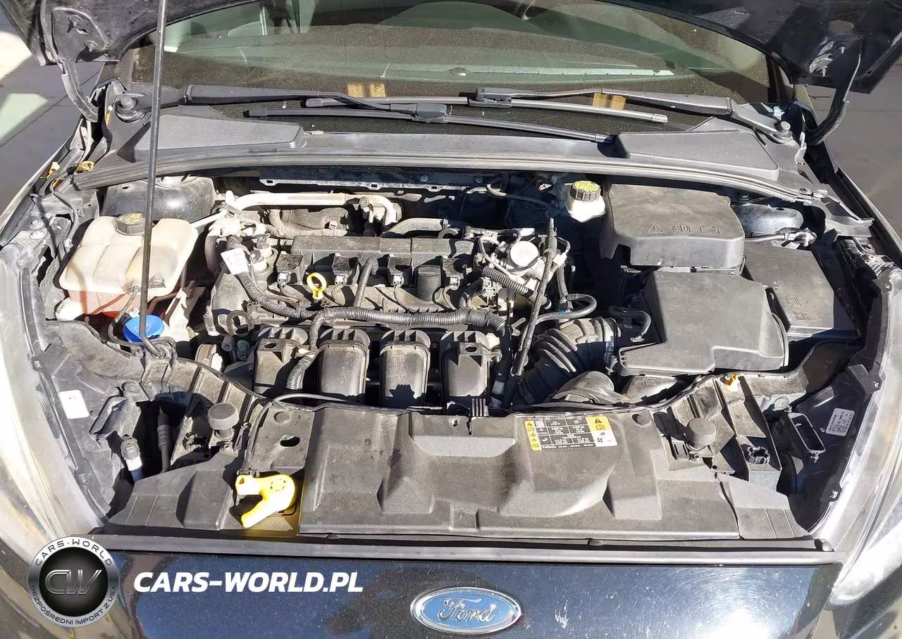 2017 Ford Focus Se VIN:1FADP3F23HL304253 - 10