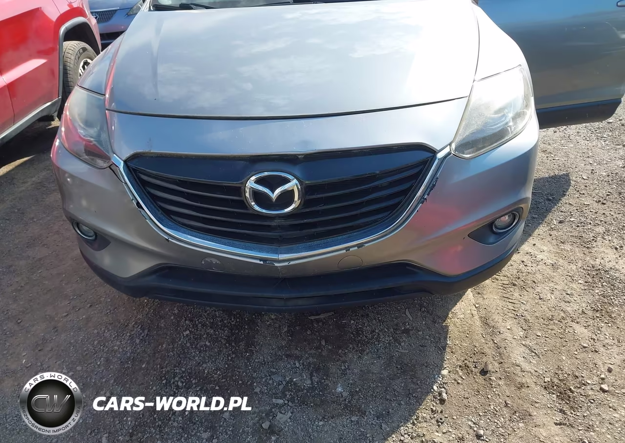 2014 Mazda Cx-9 Touring VIN:JM3TB3CV6E0444773 - 6