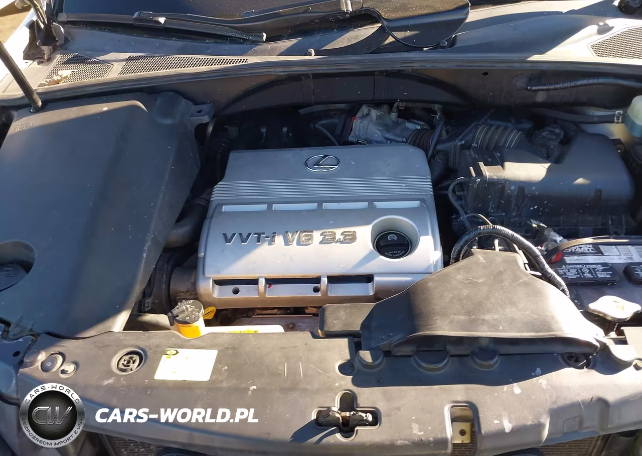 2005 Lexus Rx 330 VIN:JTJGA31U950057333 - 10