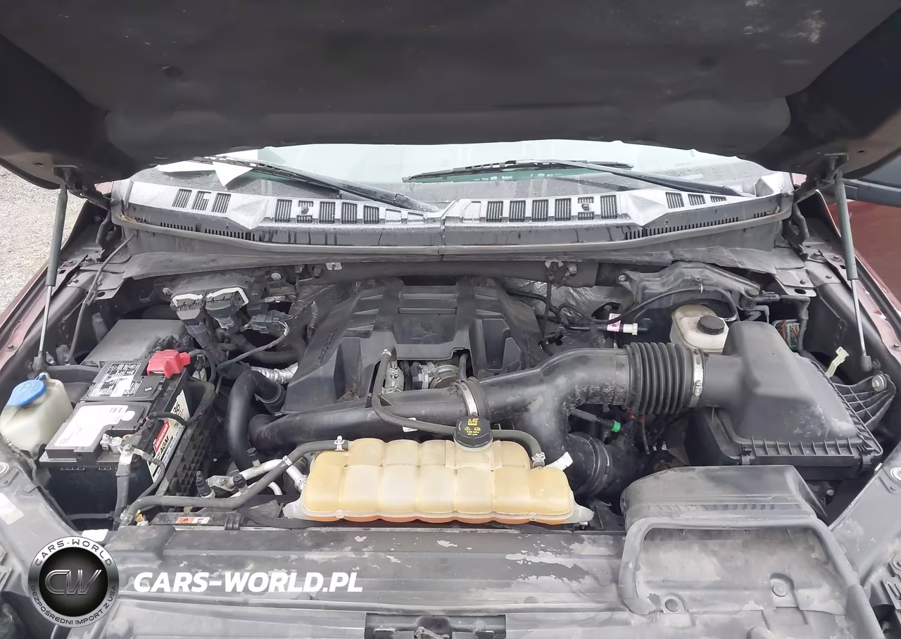 2015 Ford F-150 Xlt VIN:1FTEW1EP0FFB53502 - 10