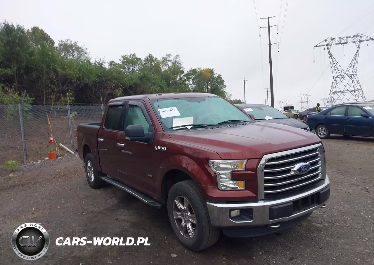2015 Ford F-150 Xlt VIN:1FTEW1EP0FFB53502 - 12