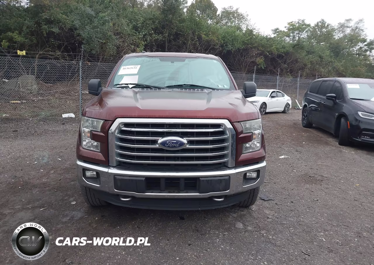 2015 Ford F-150 Xlt VIN:1FTEW1EP0FFB53502 - 13