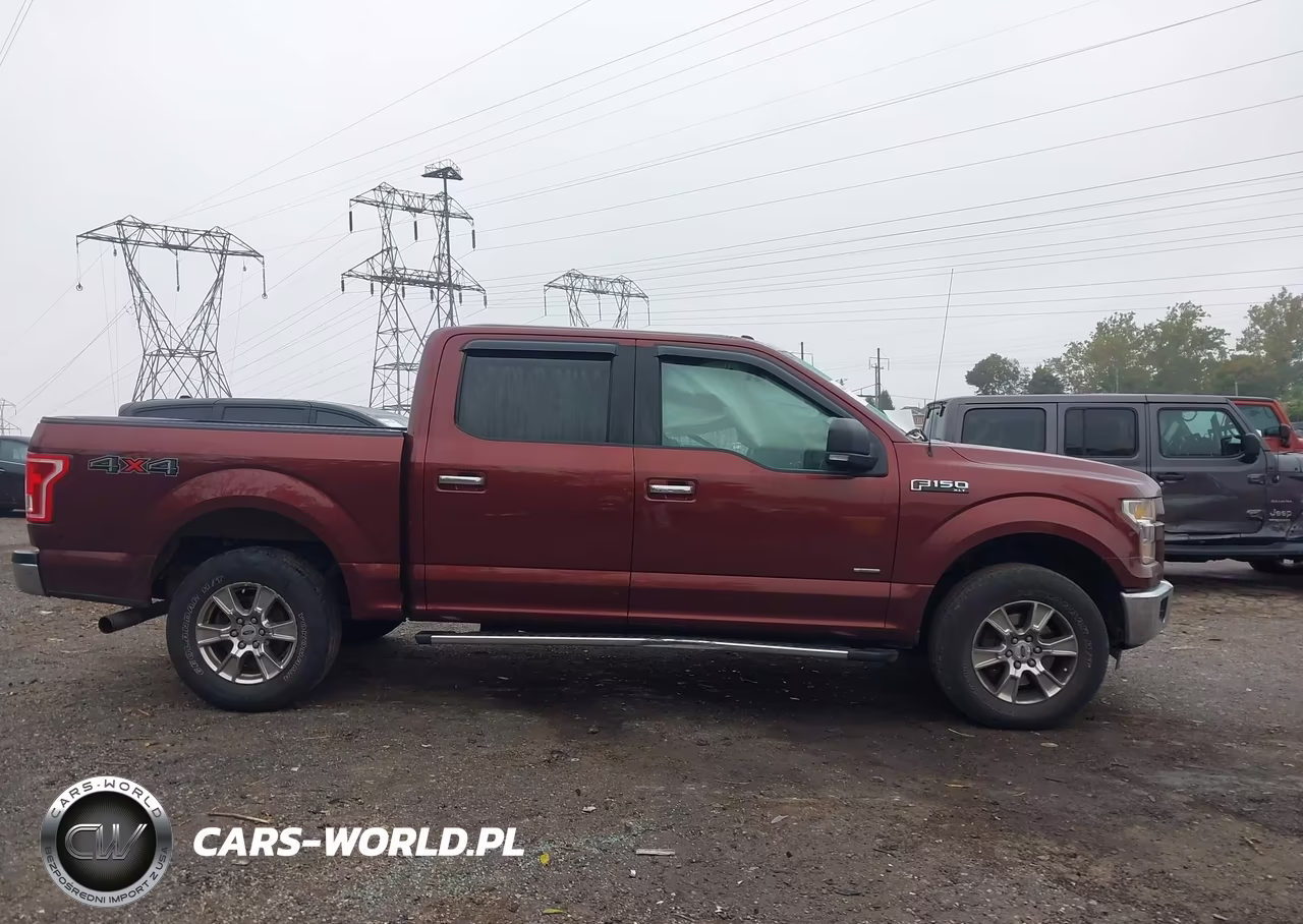 2015 Ford F-150 Xlt VIN:1FTEW1EP0FFB53502 - 14
