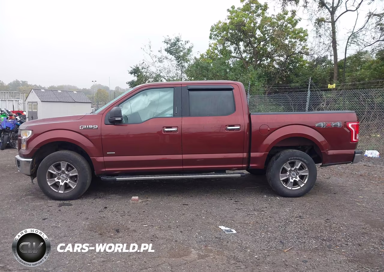 2015 Ford F-150 Xlt VIN:1FTEW1EP0FFB53502 - 15