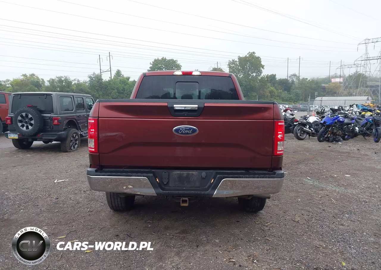2015 Ford F-150 Xlt VIN:1FTEW1EP0FFB53502 - 17