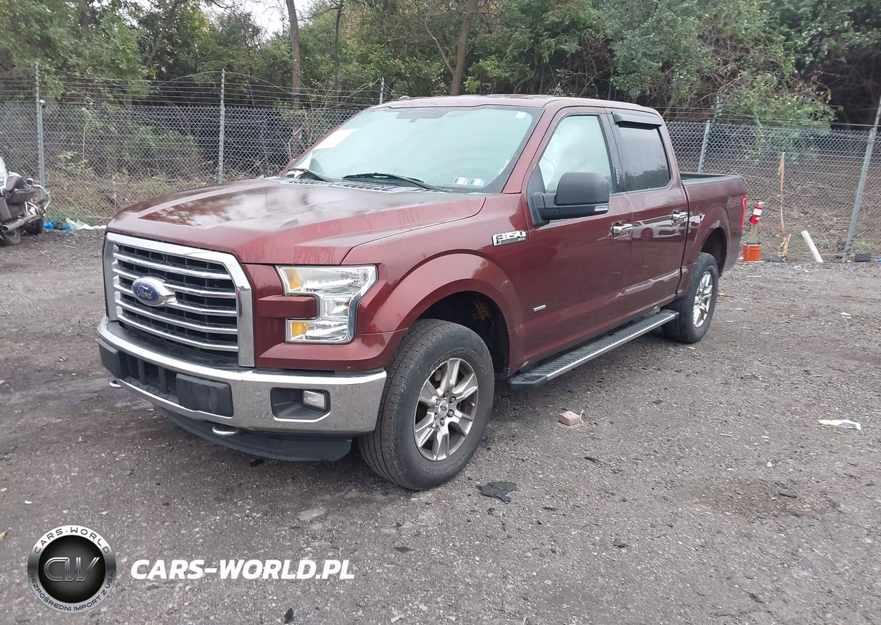 2015 Ford F-150 Xlt VIN:1FTEW1EP0FFB53502 - 2