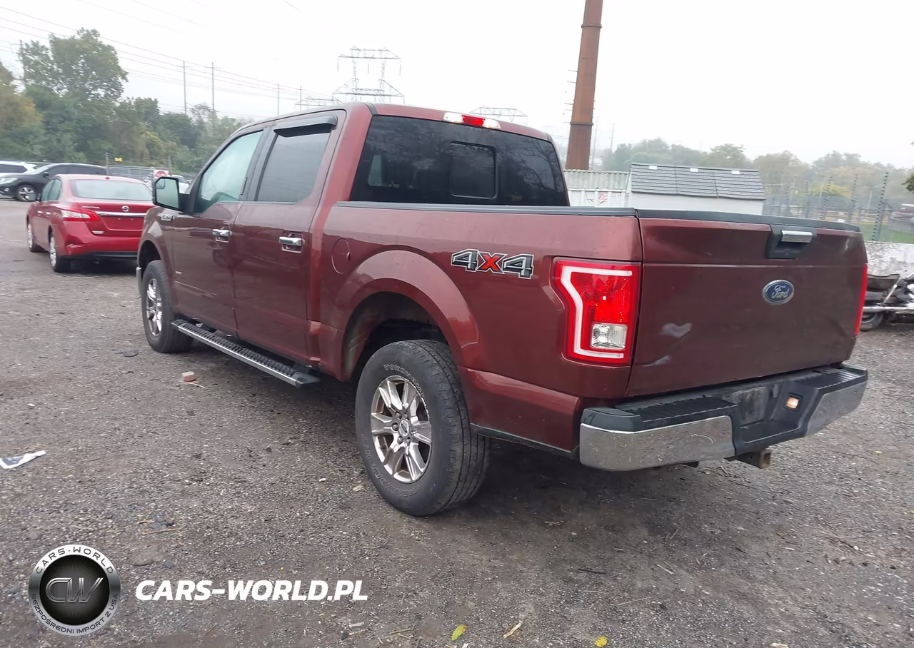 2015 Ford F-150 Xlt VIN:1FTEW1EP0FFB53502 - 3