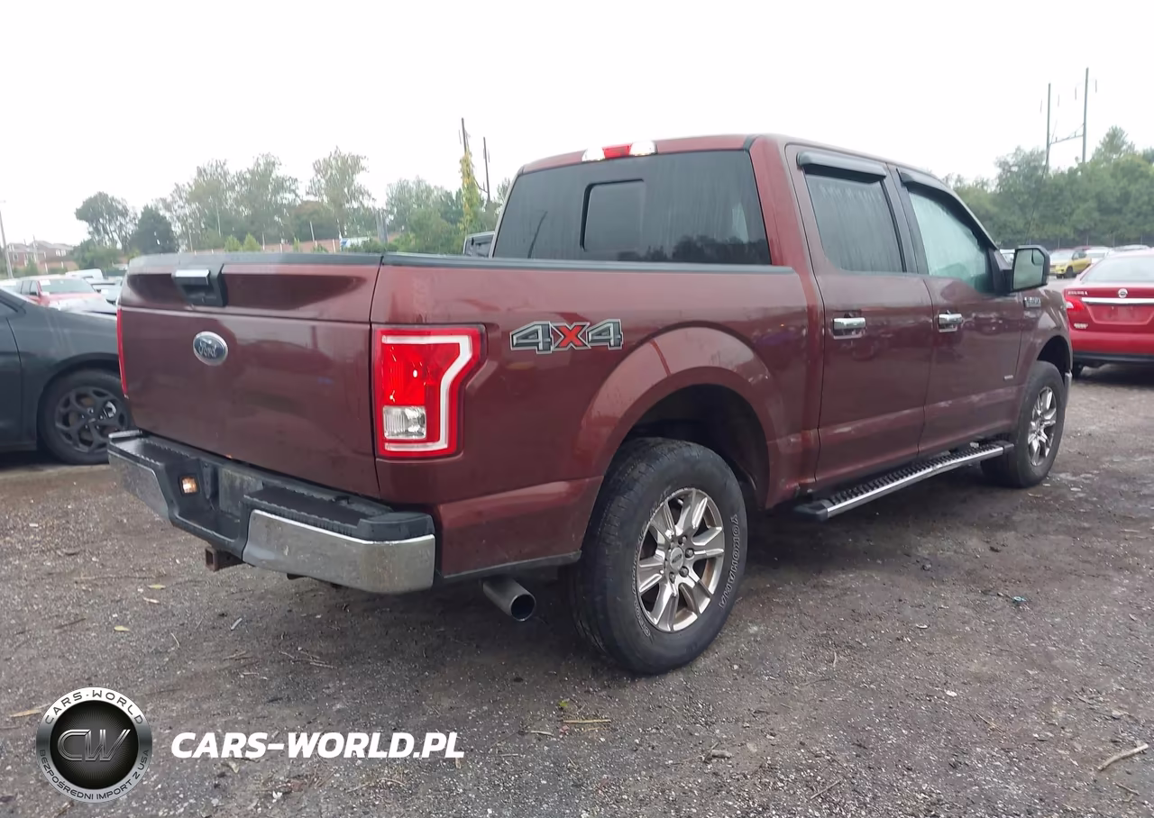 2015 Ford F-150 Xlt VIN:1FTEW1EP0FFB53502 - 4