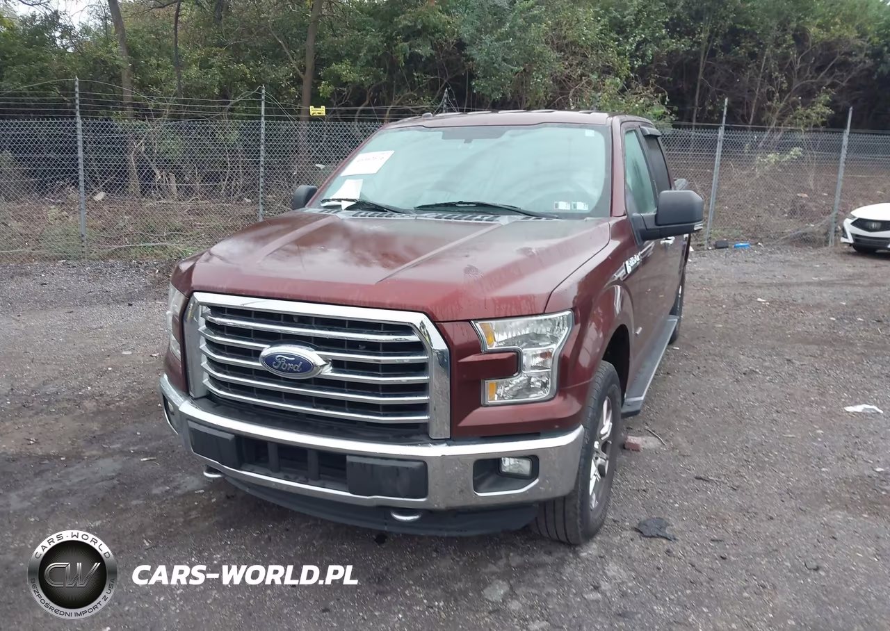 2015 Ford F-150 Xlt VIN:1FTEW1EP0FFB53502 - 6