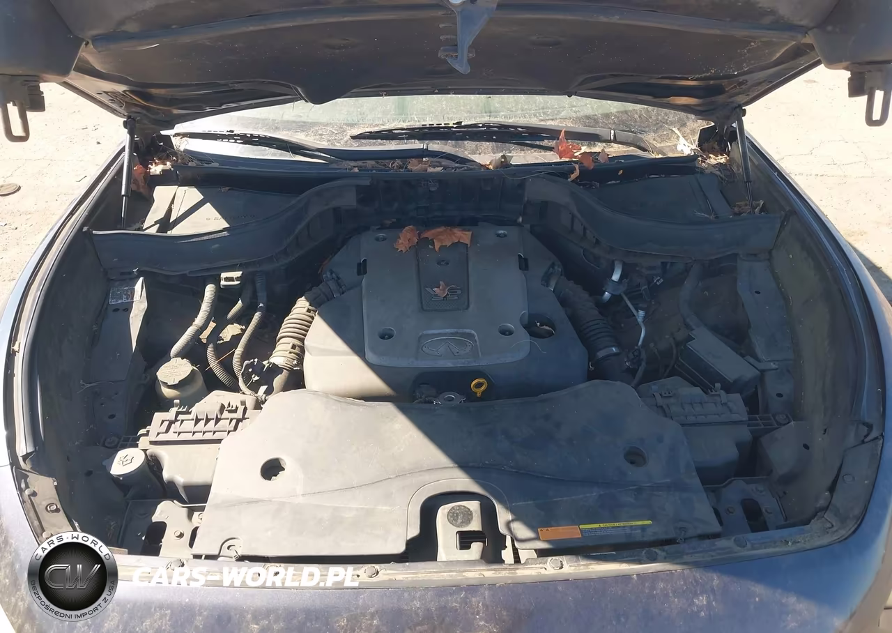 2009 Infiniti Fx35 VIN:JNRAS18W39M150381 - 10