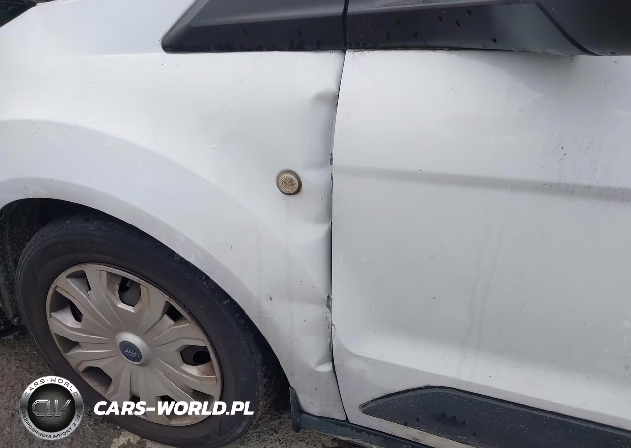 2019 Ford Transit Connect Xl VIN:NM0LS7E25K1398956 - 21