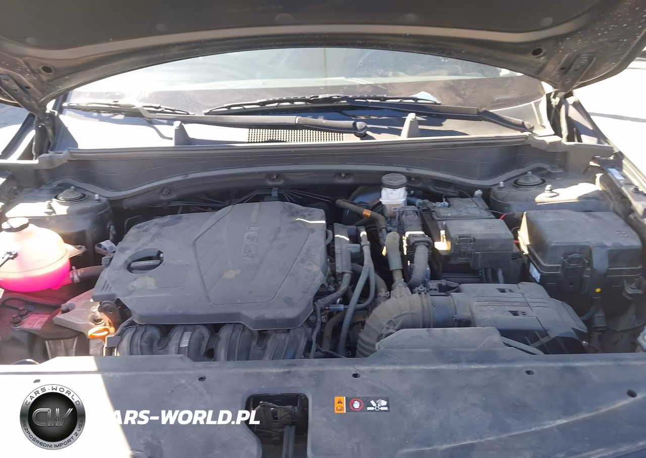 2025 Kia Sportage Ex VIN:5XYK3CDF8SG309048 - 10
