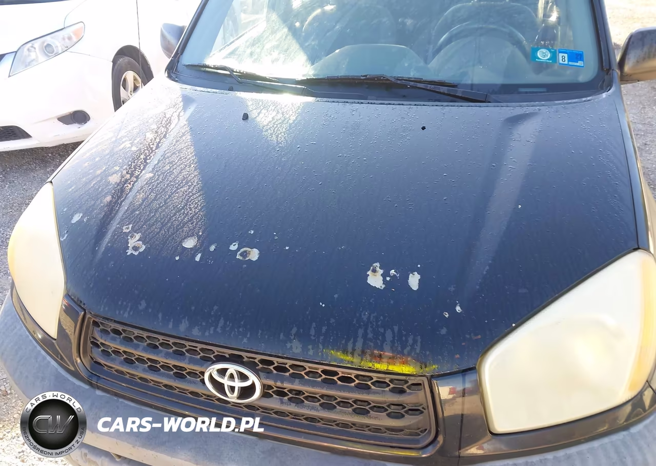 2001 Toyota Rav4 VIN:JTEGH20V510001110 - 13