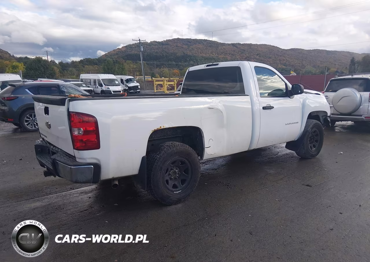 2011 Chevrolet Silverado 1500 Work Truck VIN:1GCNCPEX5BZ307643 - 4
