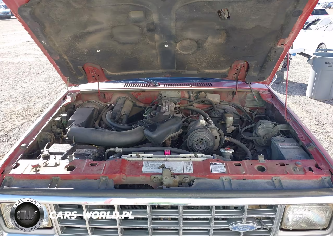 1986 Ford Bronco Ii VIN:1FMCU14T9GUC21557 - 10