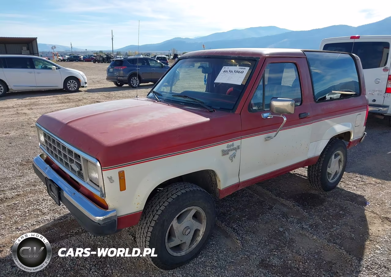 1986 Ford Bronco Ii VIN:1FMCU14T9GUC21557 - 2