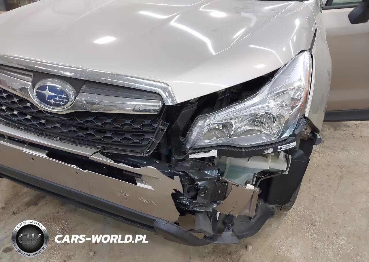 2016 Subaru Forester 2.5I Premium VIN:JF2SJADC7GH522203 - 6