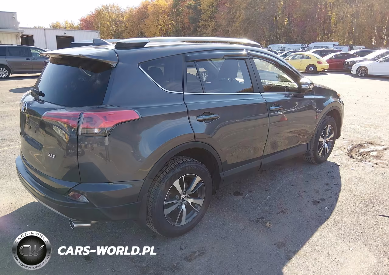 2018 Toyota Rav4 Xle VIN:2T3WFREV8JW483333 - 4