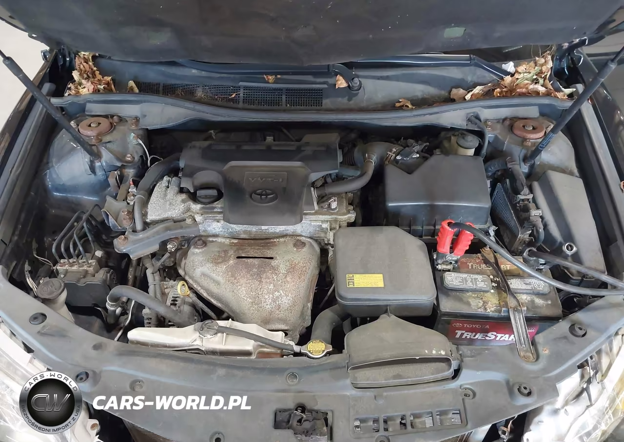 2014 Toyota Camry Se VIN:4T1BF1FK1EU836336 - 10