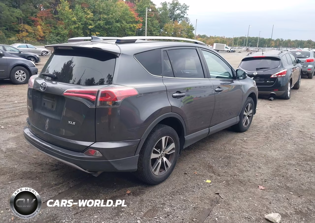 2017 Toyota Rav4 Xle VIN:JTMWFREV9HJ710828 - 4