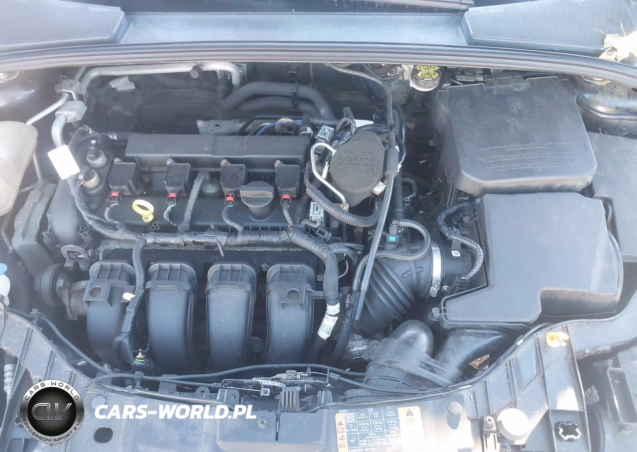 2015 Ford Focus Se VIN:1FADP3F25FL205219 - 10
