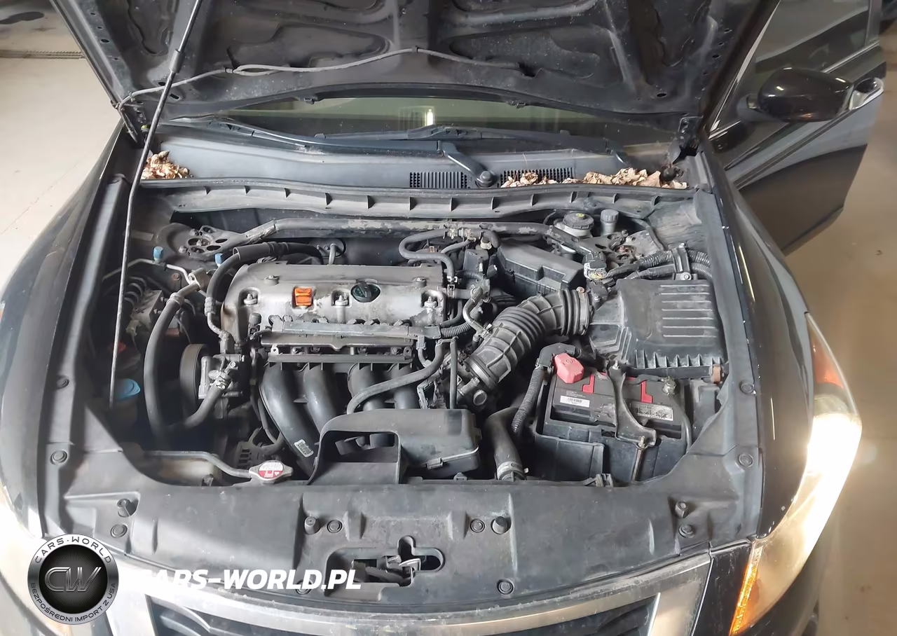 2010 Honda Accord 2.4 Ex-L VIN:1HGCP2E88AA024188 - 10