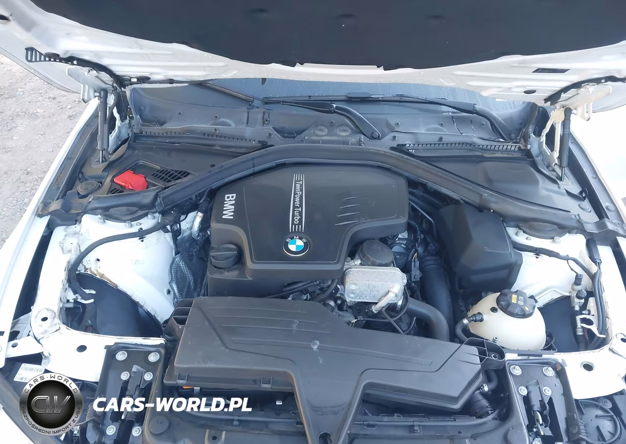2016 BMW 428I Gran Coupe VIN:WBA4A9C5XGG506413 - 10