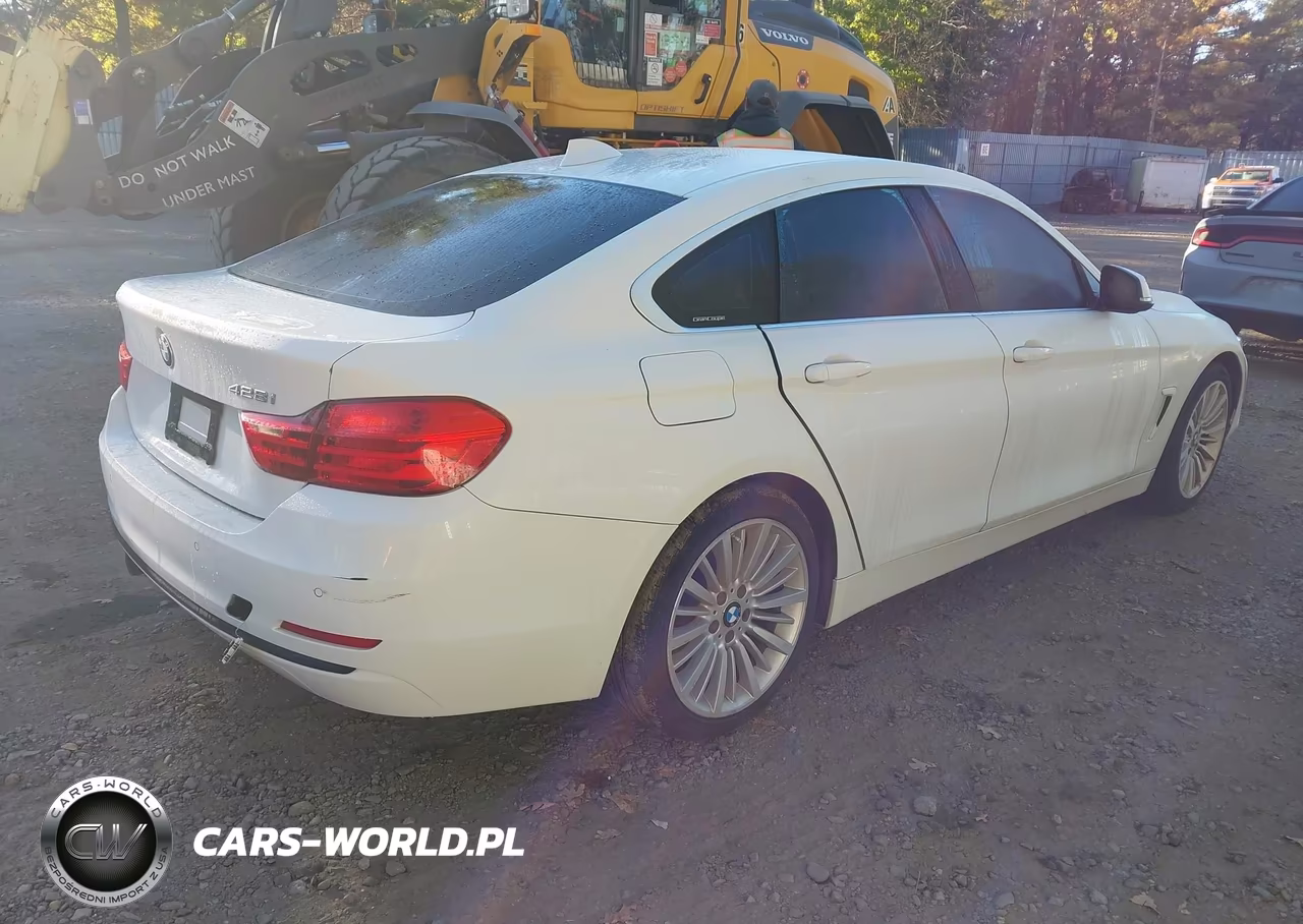 2016 BMW 428I Gran Coupe VIN:WBA4A9C5XGG506413 - 4