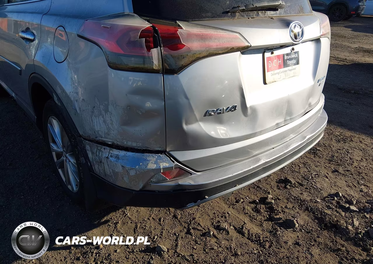 2017 Toyota Rav4 Limited VIN:2T3DFREVXHW667058 - 6