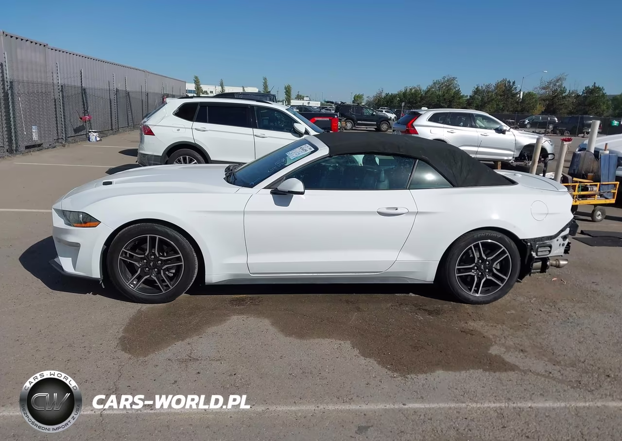 2020 Ford Mustang Ecoboost Premium VIN:1FATP8UH7L5137134 - 18