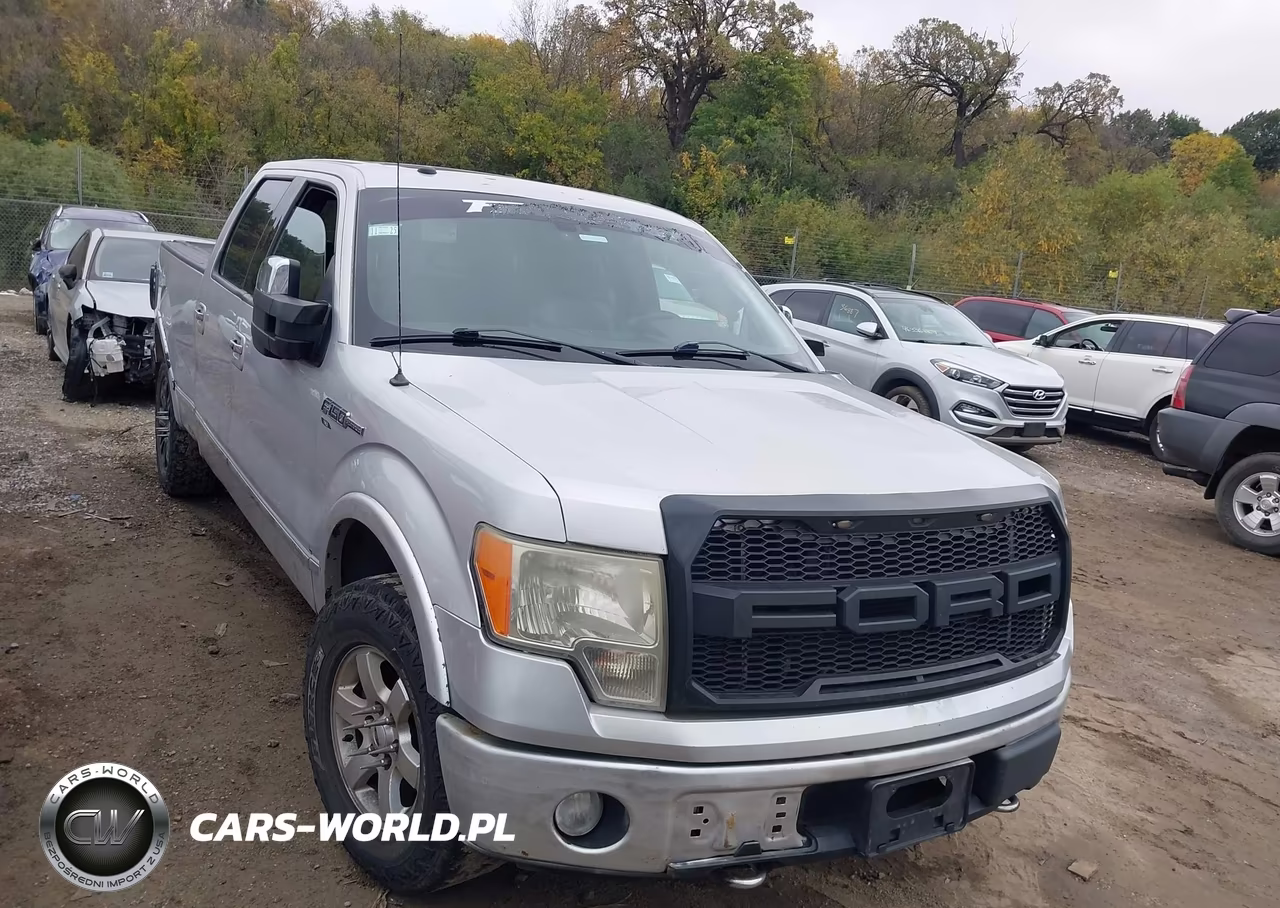 2009 Ford F-150 Platinum – zdjęcie 1 z 16