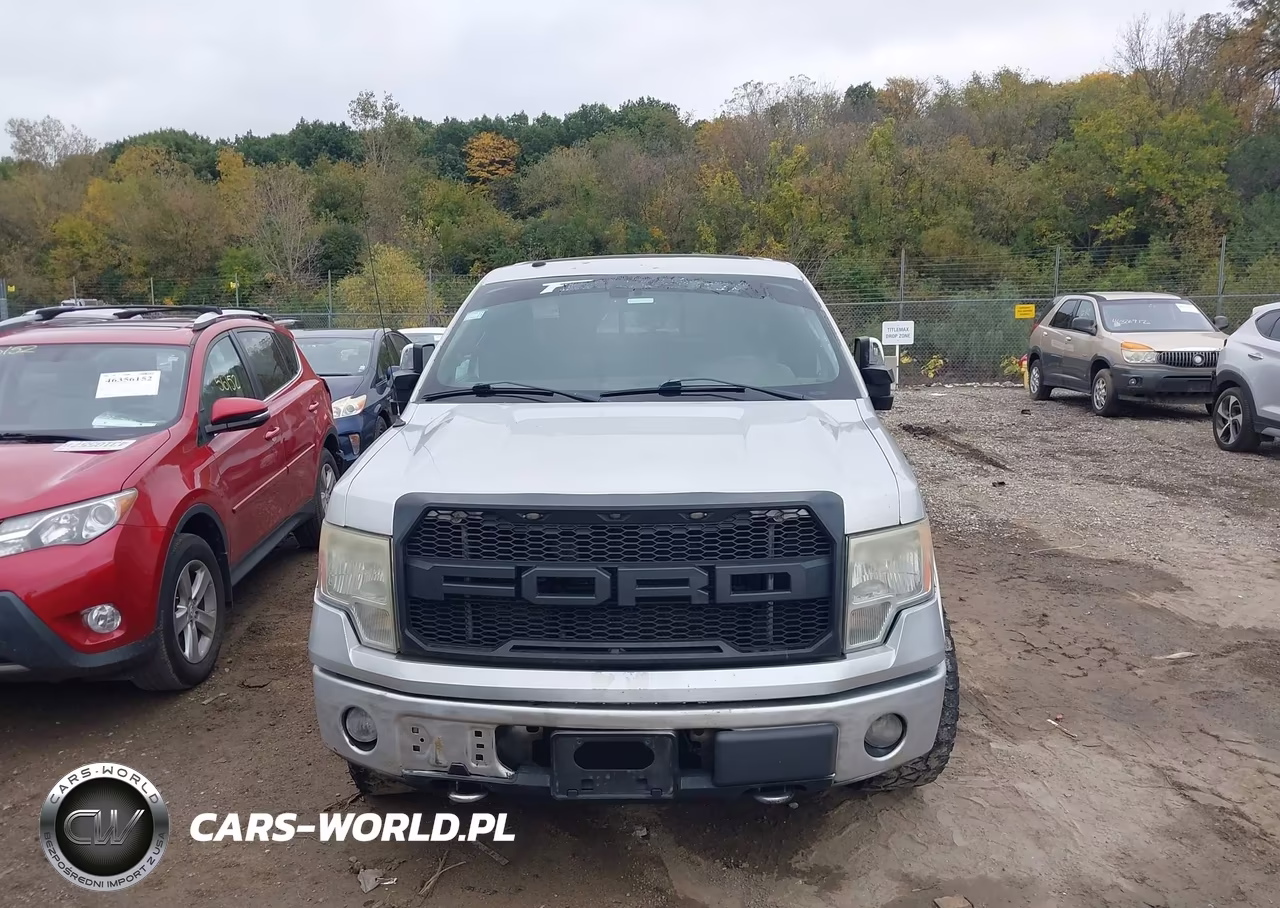 2009 Ford F-150 Platinum VIN:1FTPW14V39FB42796 - 12