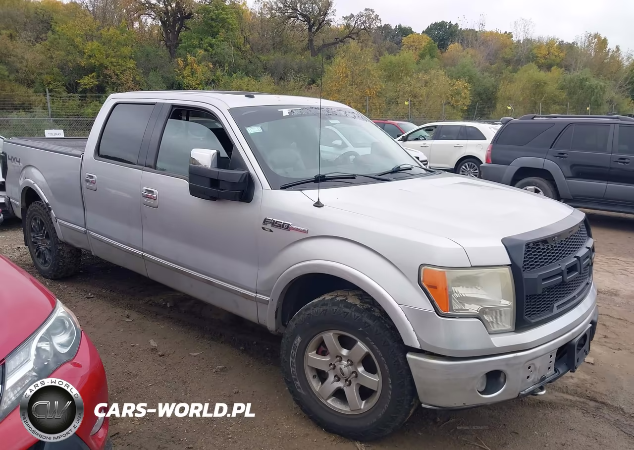 2009 Ford F-150 Platinum VIN:1FTPW14V39FB42796 - 13