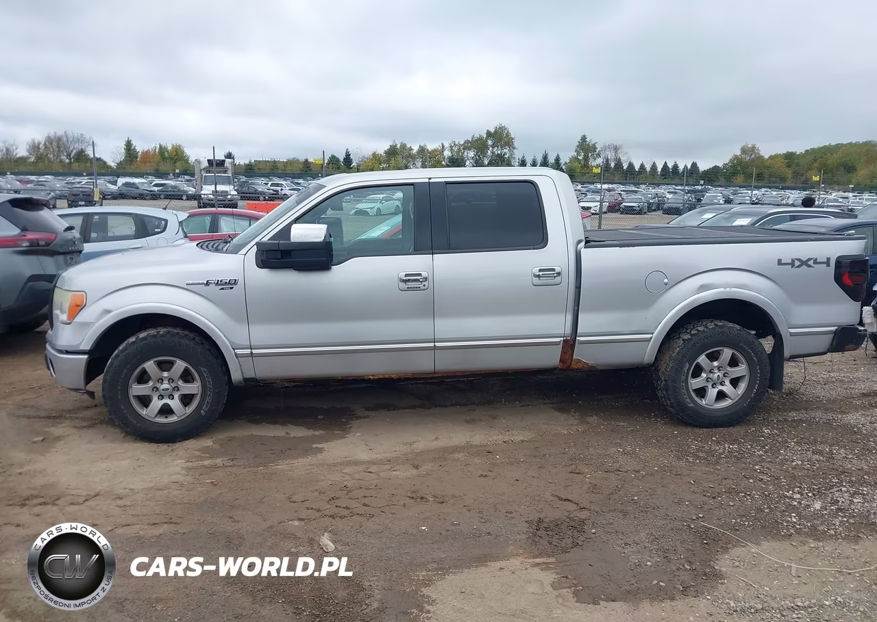 2009 Ford F-150 Platinum VIN:1FTPW14V39FB42796 - 14