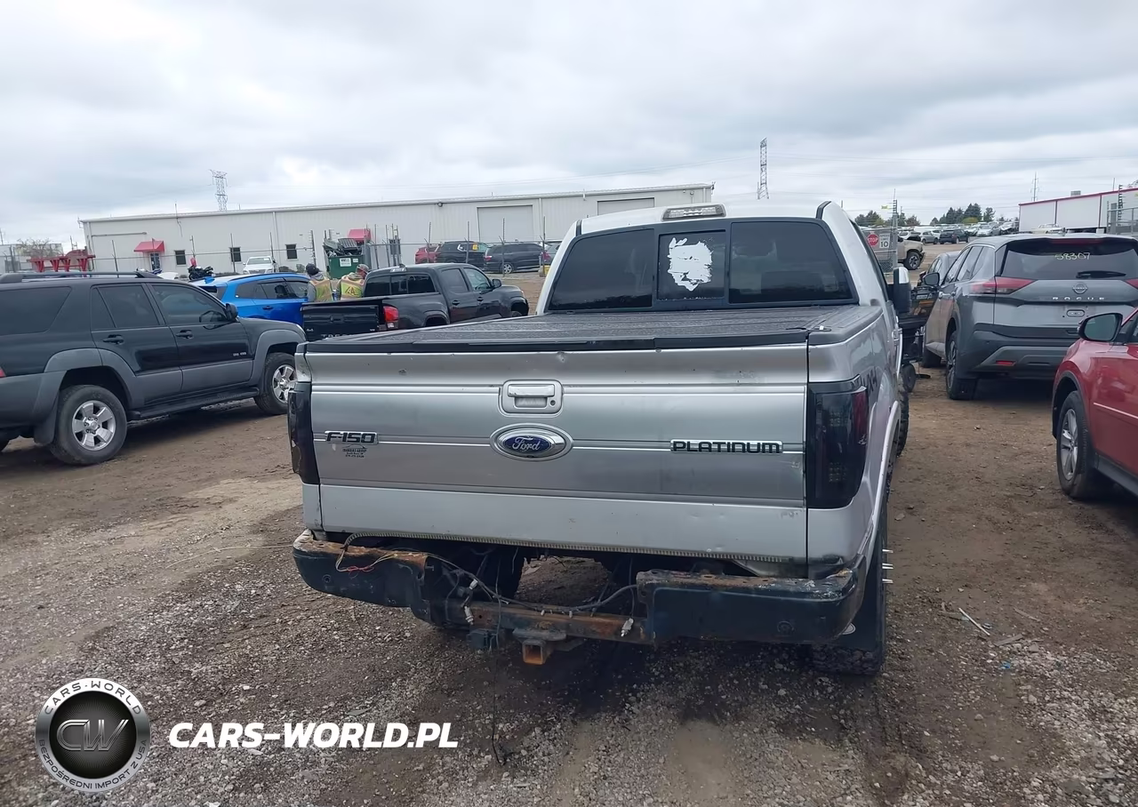 2009 Ford F-150 Platinum VIN:1FTPW14V39FB42796 - 16