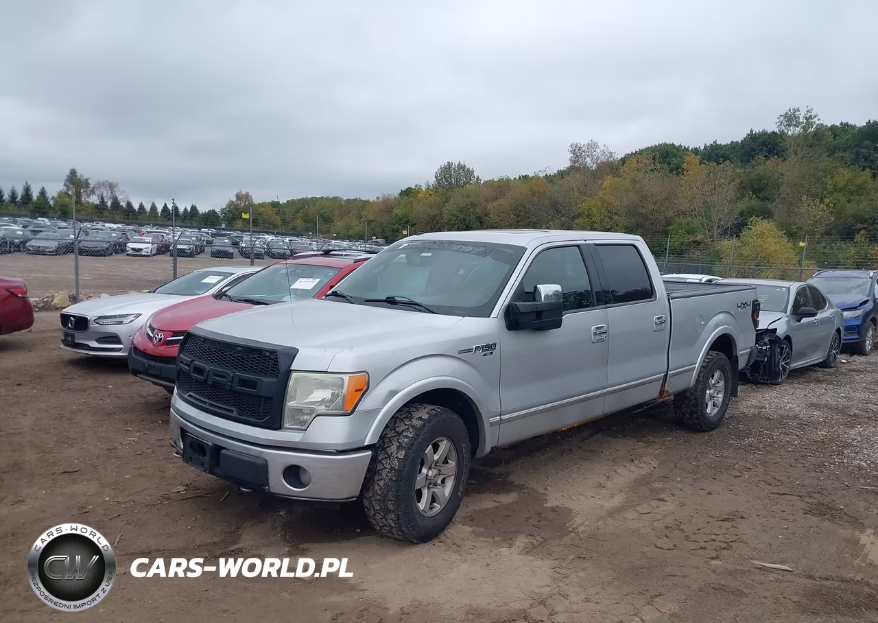 2009 Ford F-150 Platinum VIN:1FTPW14V39FB42796 - 2