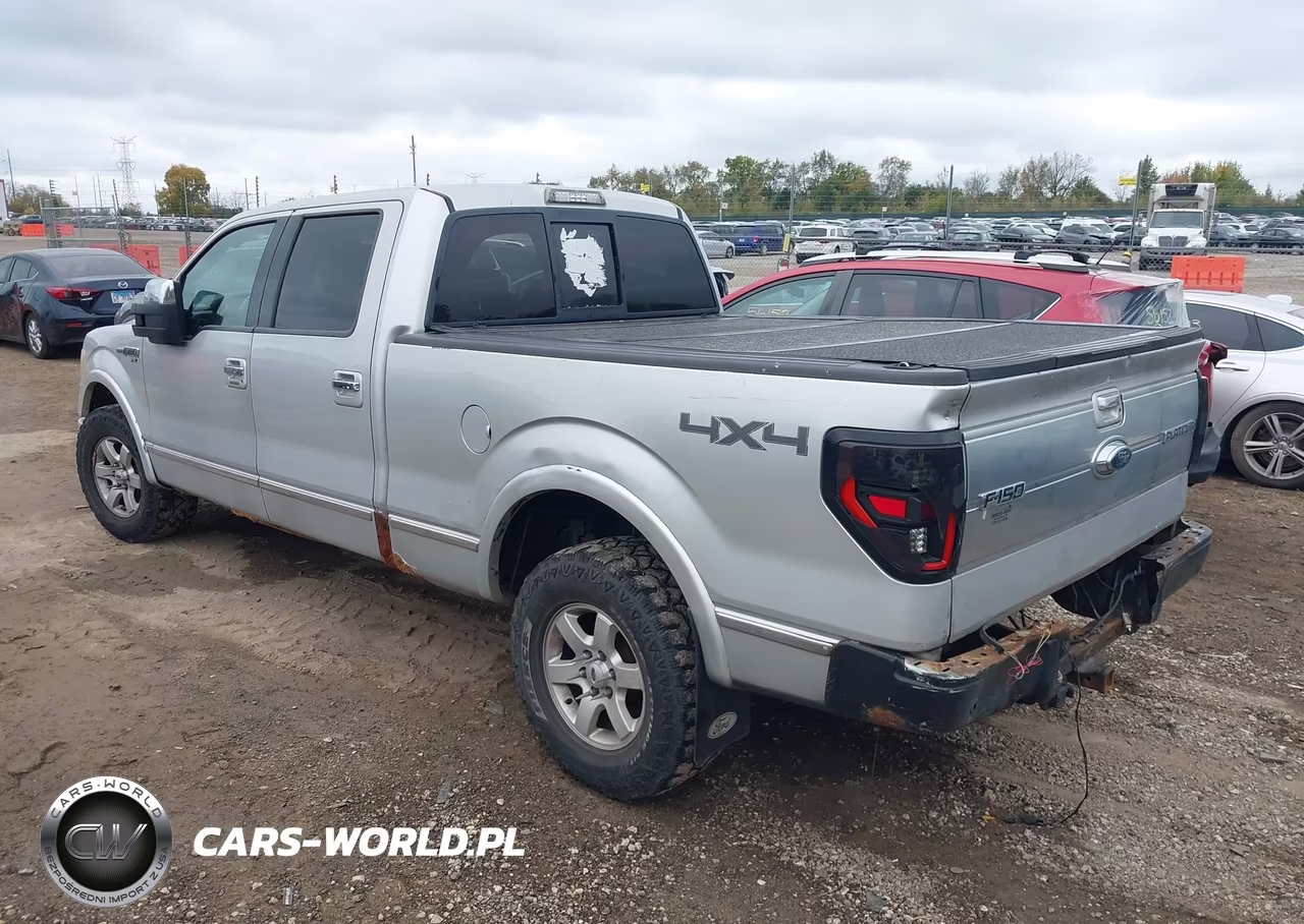2009 Ford F-150 Platinum VIN:1FTPW14V39FB42796 - 3