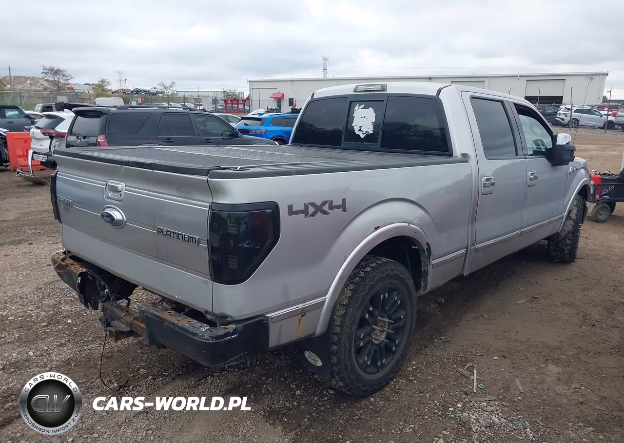 2009 Ford F-150 Platinum VIN:1FTPW14V39FB42796 - 4