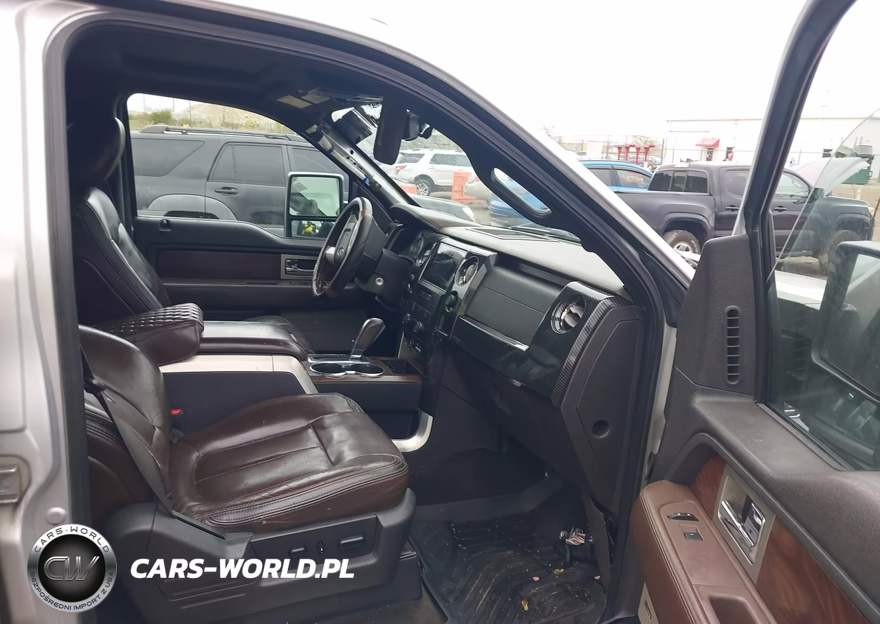 2009 Ford F-150 Platinum VIN:1FTPW14V39FB42796 - 5