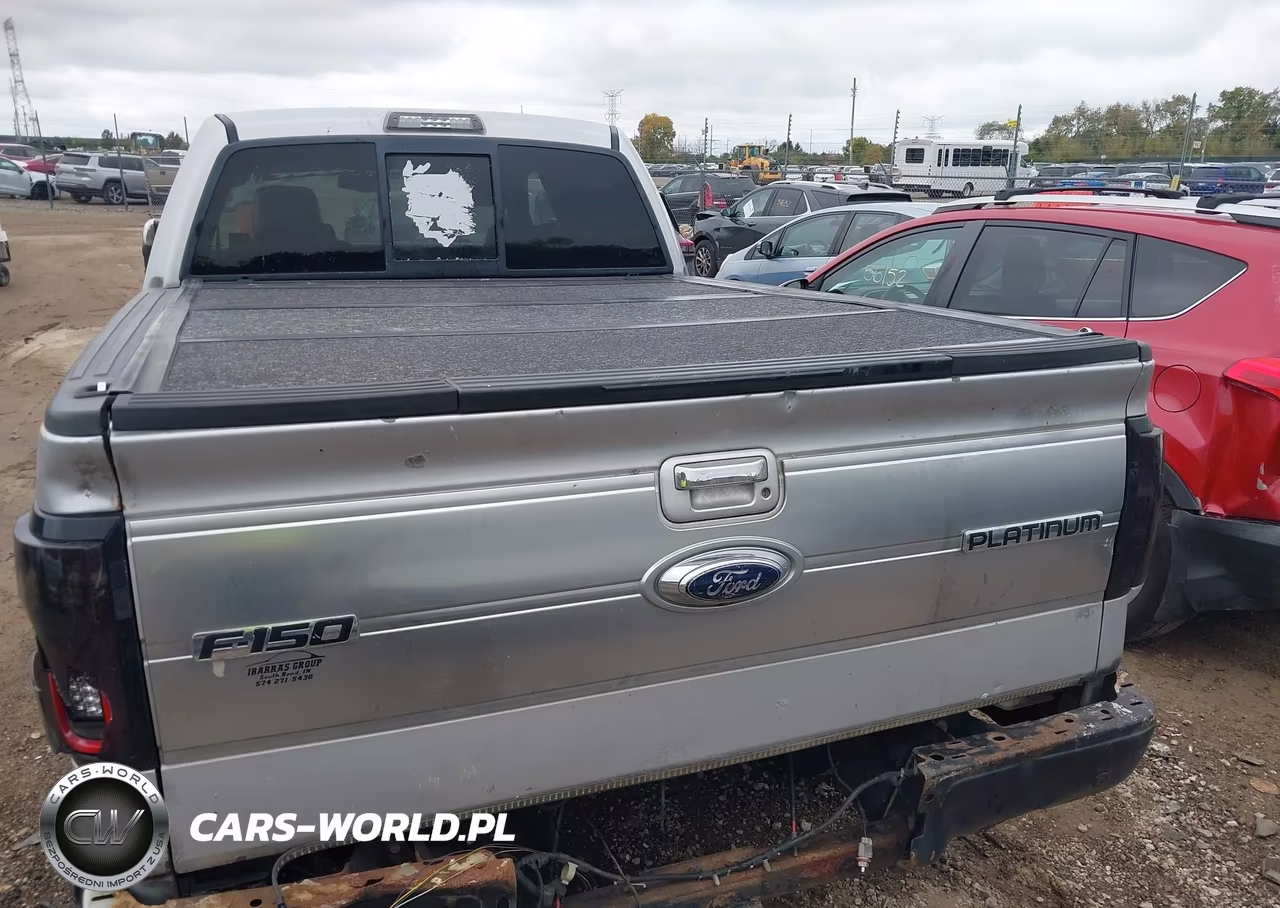 2009 Ford F-150 Platinum VIN:1FTPW14V39FB42796 - 6