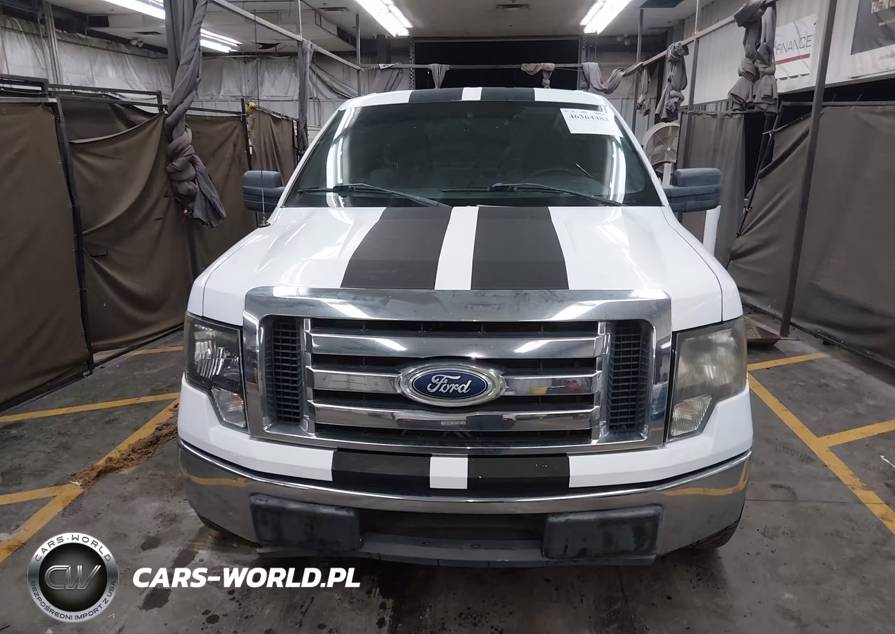 2010 Ford F-150 Fx2 Sport-Stx-Xl-Xlt VIN:1FTEX1C84AKE66268 - 12